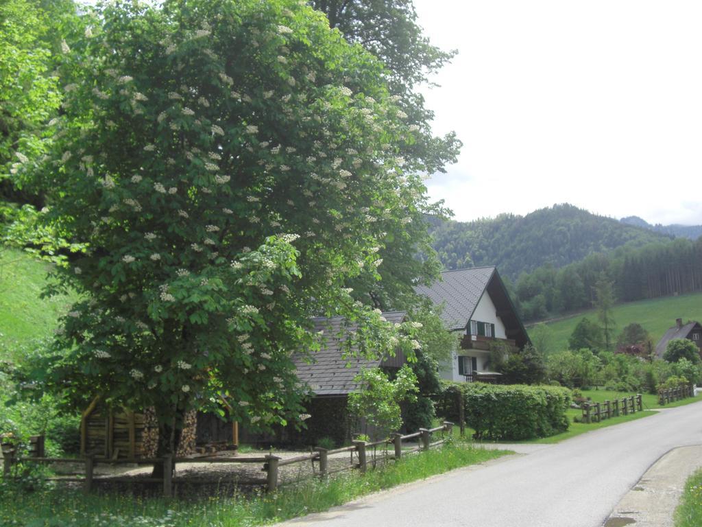 Ferienwohnung Lange Göstling an der Ybbs Extérieur photo