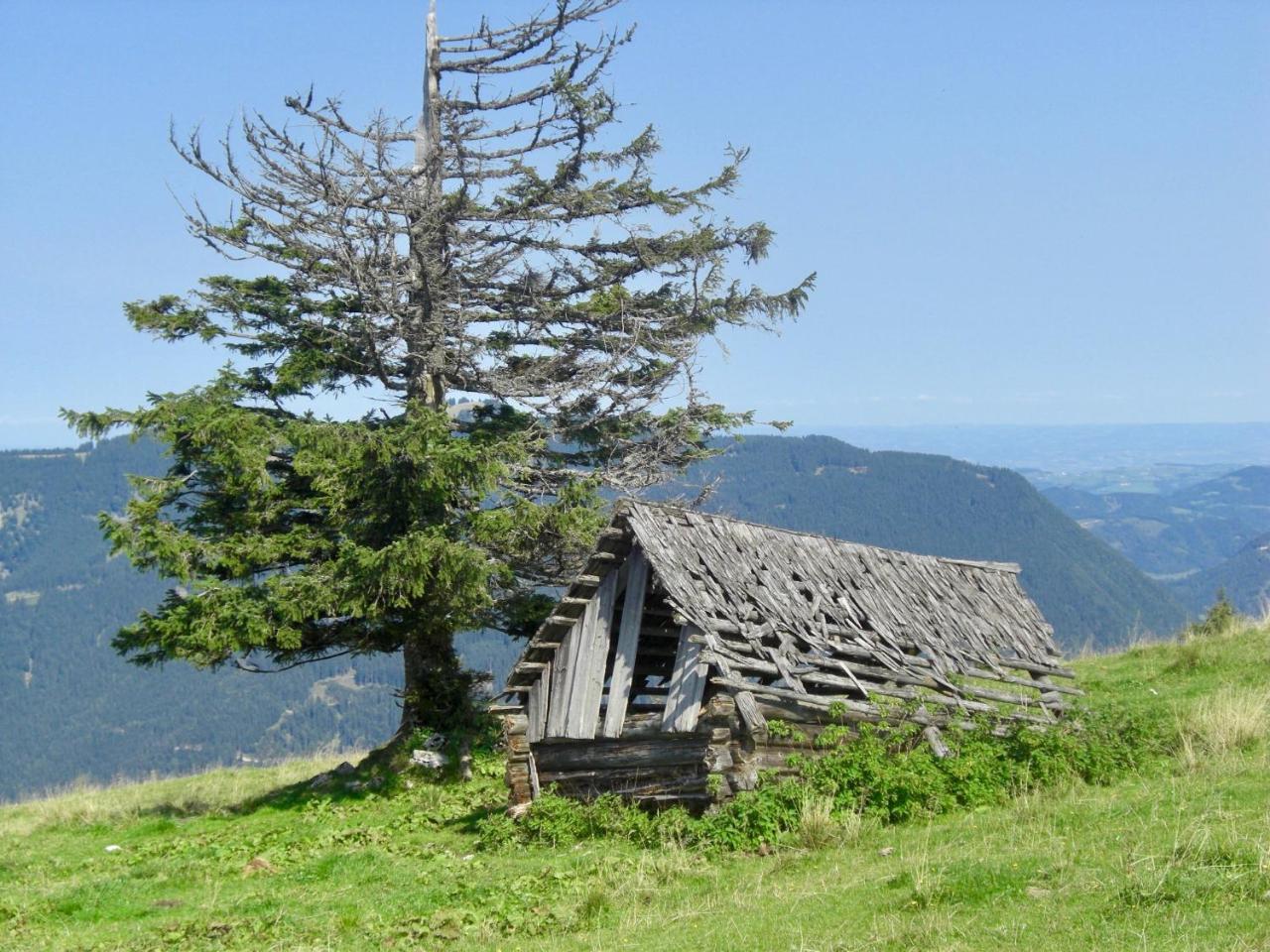 Ferienwohnung Lange Göstling an der Ybbs Extérieur photo