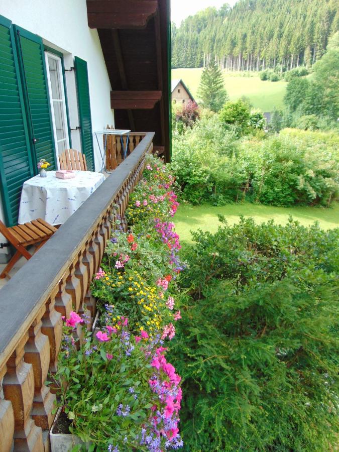Ferienwohnung Lange Göstling an der Ybbs Extérieur photo